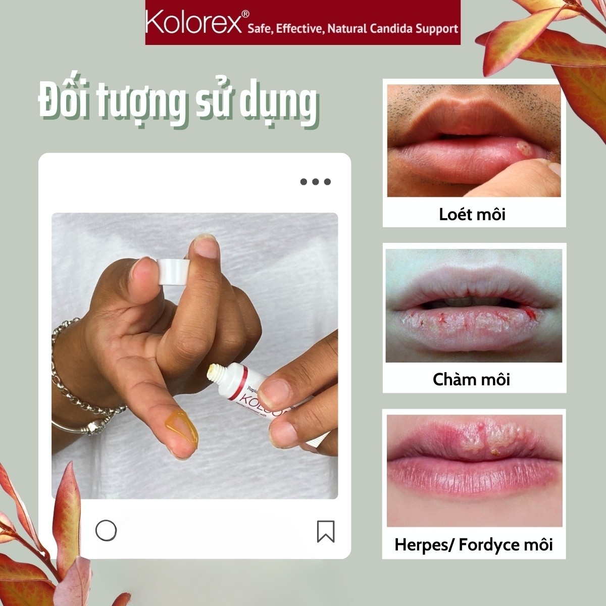 Kem hỗ trợ chàm môi, herpes môi Kolorex Kolsore Lip Care Ointment - Dr Chubby Kem hỗ trợ chàm môi, herpes môi Kolorex Kolsore Lip Care Ointment