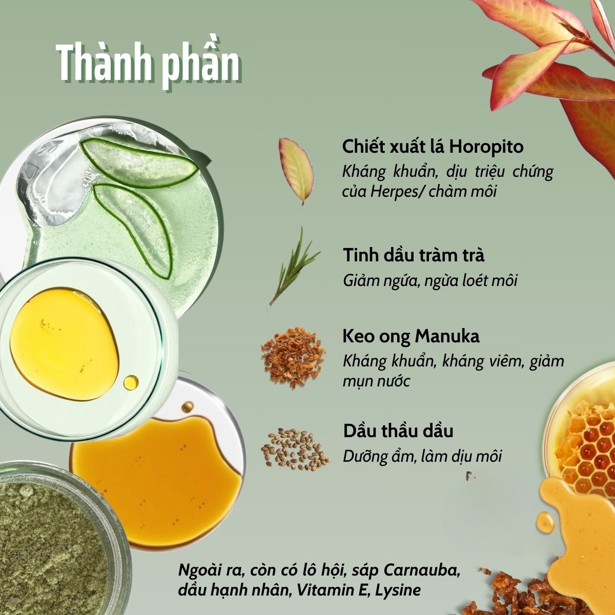 Kem hỗ trợ chàm môi, herpes môi Kolorex Kolsore Lip Care Ointment - Dr Chubby Kem hỗ trợ chàm môi, herpes môi Kolorex Kolsore Lip Care Ointment