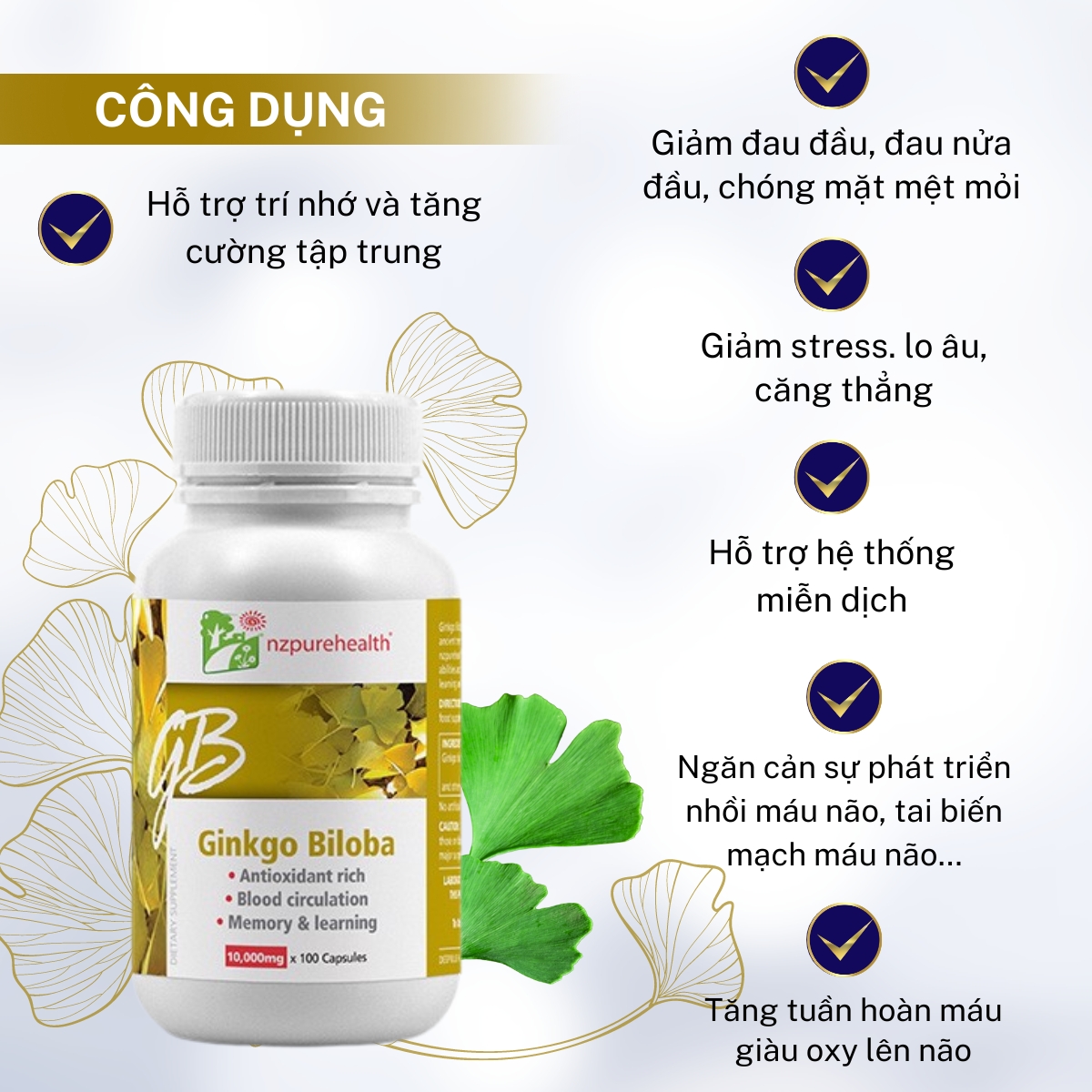 Công dụng Ginkgo Biloba NzPureHealth Dr Chubby