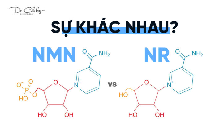 Su khac nhau giua NMN va NR theo chuan y khoa