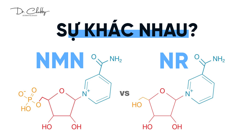 Su khac nhau giua NMN va NR theo chuan y khoa
