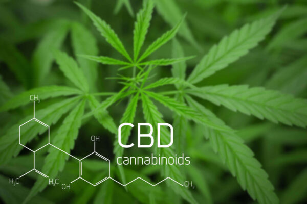 CBD là gì?