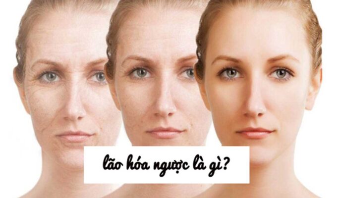 Lão hóa ngược là gì? 