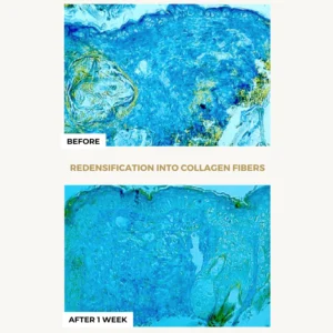 Tinh chất chống lão hóa, trắng da DermEden Night Protocole Intense Serum (30ml) Anglais 2