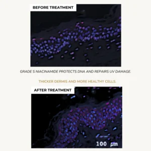 CREME MAINS Creme de nuit Anglais