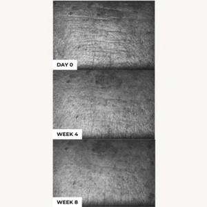 Creme Nuit Intense Anglais